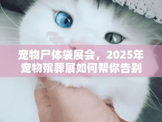 宠物尸体袋展会，2025年宠物殡葬展如何帮你告别无助？