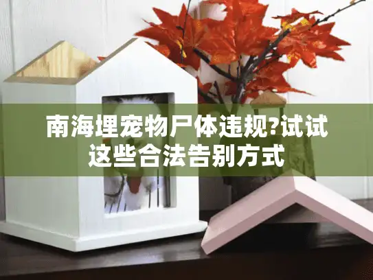 南海埋宠物尸体违规?试试这些合法告别方式
