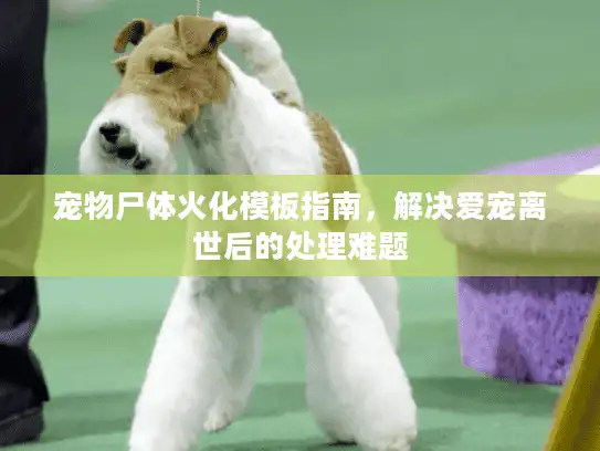 宠物尸体火化模板指南，解决爱宠离世后的处理难题