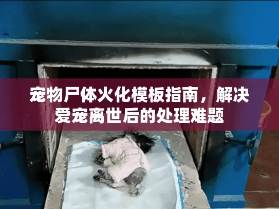 宠物尸体火化模板指南，解决爱宠离世后的处理难题