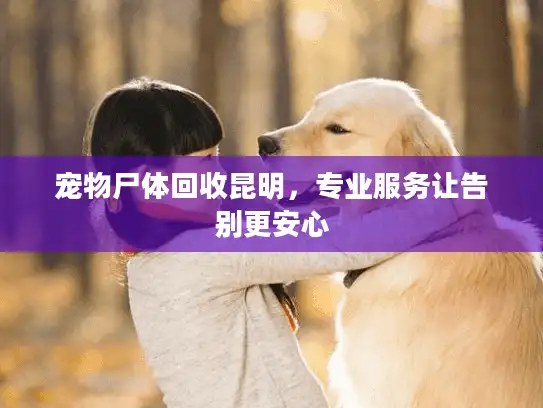 宠物尸体回收昆明，专业服务让告别更安心