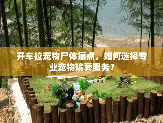 开车拉宠物尸体痛点，如何选择专业宠物殡葬服务？