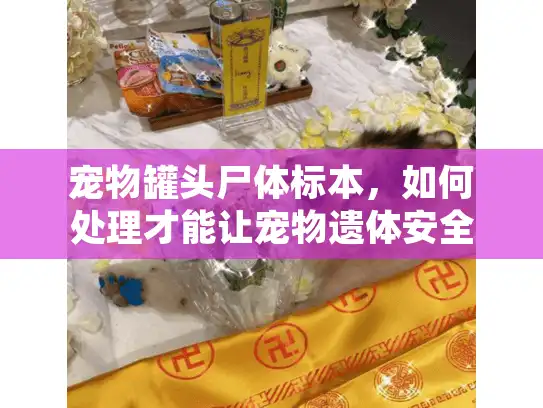 宠物罐头尸体标本，如何处理才能让宠物遗体安全永恒？