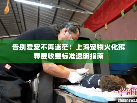 告别爱宠不再迷茫！上海宠物火化殡葬费收费标准透明指南