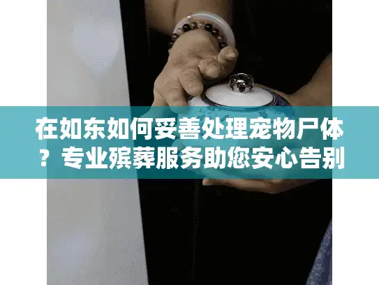 在如东如何妥善处理宠物尸体？专业殡葬服务助您安心告别