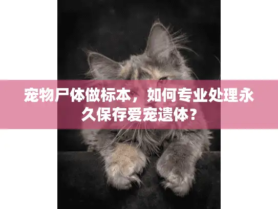 宠物尸体做标本，如何专业处理永久保存爱宠遗体？