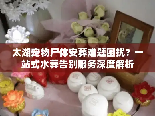 太湖宠物尸体安葬难题困扰？一站式水葬告别服务深度解析