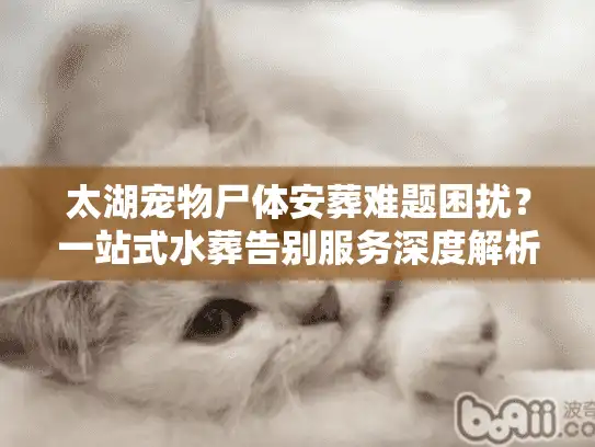 太湖宠物尸体安葬难题困扰？一站式水葬告别服务深度解析