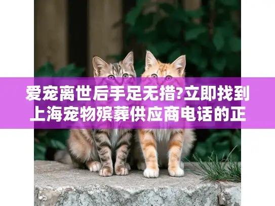 爱宠离世后手足无措?立即找到上海宠物殡葬供应商电话的正确方法!