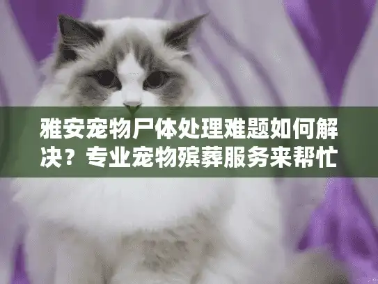 雅安宠物尸体处理难题如何解决？专业宠物殡葬服务来帮忙