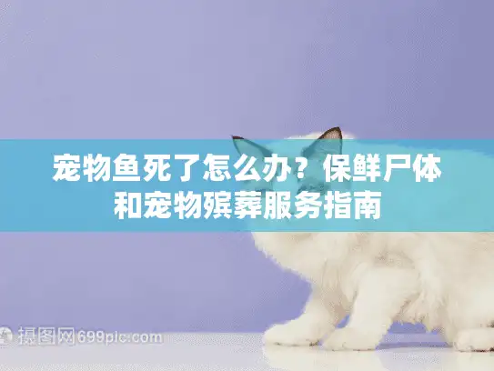 宠物鱼死了怎么办？保鲜尸体和宠物殡葬服务指南