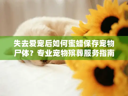 失去爱宠后如何蜜蜡保存宠物尸体？专业宠物殡葬服务指南