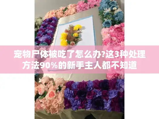 宠物尸体被吃了怎么办?这3种处理方法90%的新手主人都不知道