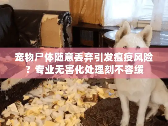宠物尸体随意丢弃引发瘟疫风险？专业无害化处理刻不容缓