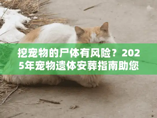挖宠物的尸体有风险？2025年宠物遗体安葬指南助您安全处理