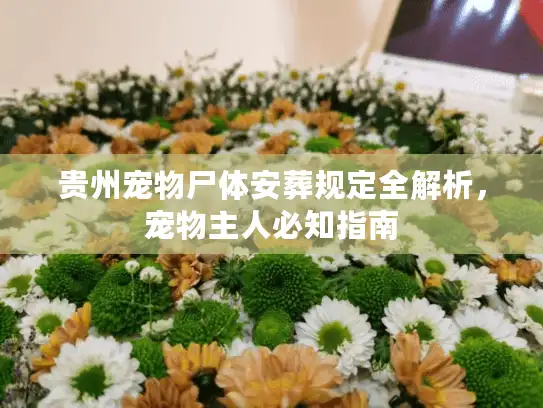 贵州宠物尸体安葬规定全解析，宠物主人必知指南