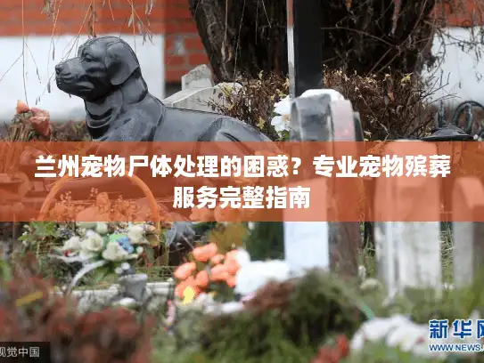 兰州宠物尸体处理的困惑？专业宠物殡葬服务完整指南