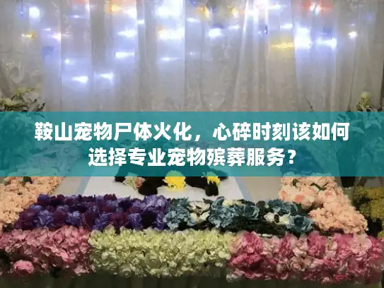 鞍山宠物尸体火化，心碎时刻该如何选择专业宠物殡葬服务？