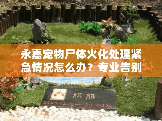 永嘉宠物尸体火化处理紧急情况怎么办？专业告别指导