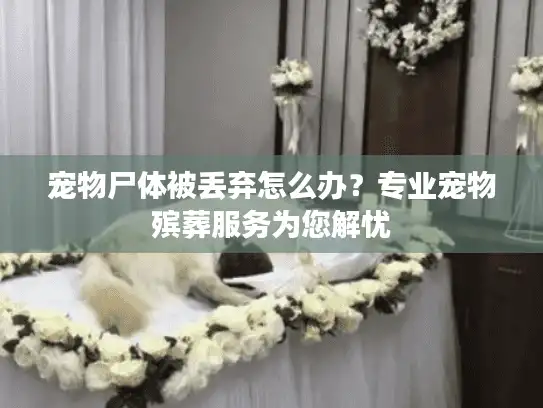 宠物尸体被丢弃怎么办？专业宠物殡葬服务为您解忧