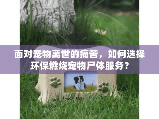面对宠物离世的痛苦，如何选择环保燃烧宠物尸体服务？