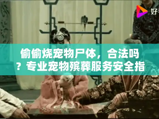 偷偷烧宠物尸体，合法吗？专业宠物殡葬服务安全指南