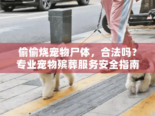 偷偷烧宠物尸体，合法吗？专业宠物殡葬服务安全指南