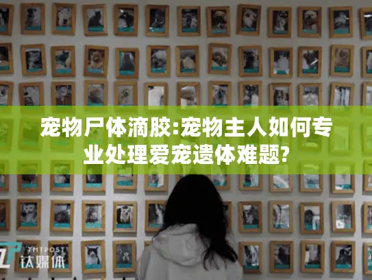 宠物尸体滴胶:宠物主人如何专业处理爱宠遗体难题?
