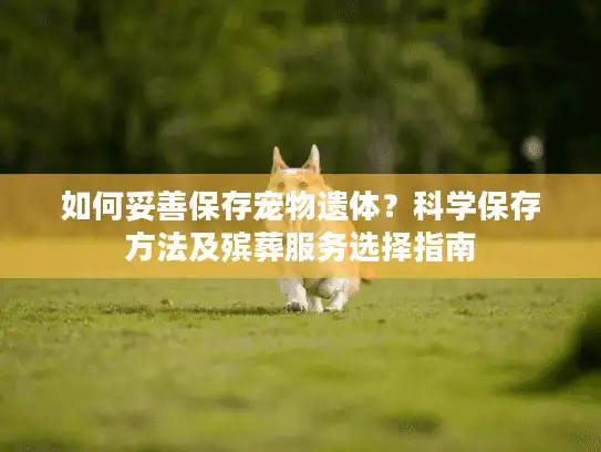 如何妥善保存宠物遗体？科学保存方法及殡葬服务选择指南