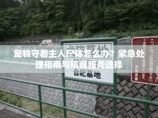 宠物守着主人尸体怎么办？紧急处理指南与殡葬服务选择