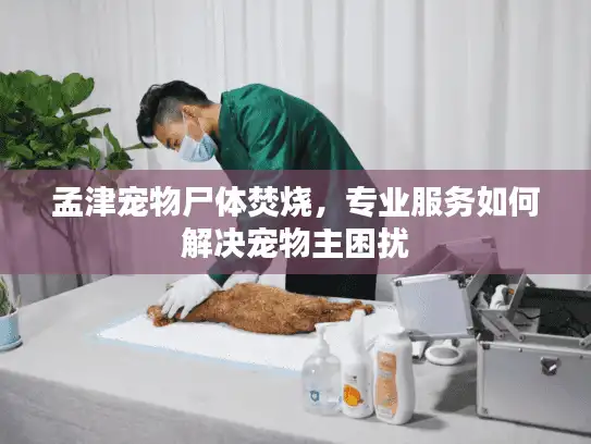 孟津宠物尸体焚烧，专业服务如何解决宠物主困扰