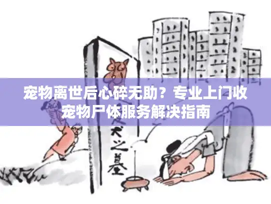 宠物离世后心碎无助？专业上门收宠物尸体服务解决指南