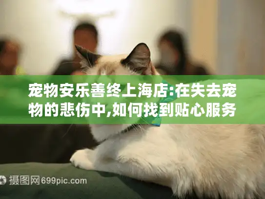 宠物安乐善终上海店:在失去宠物的悲伤中,如何找到贴心服务?