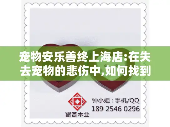 宠物安乐善终上海店:在失去宠物的悲伤中,如何找到贴心服务?