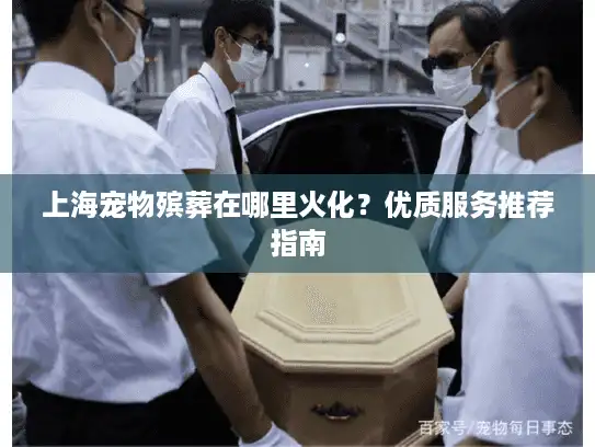 上海宠物殡葬在哪里火化？优质服务推荐指南