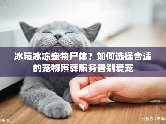 冰箱冰冻宠物尸体？如何选择合适的宠物殡葬服务告别爱宠