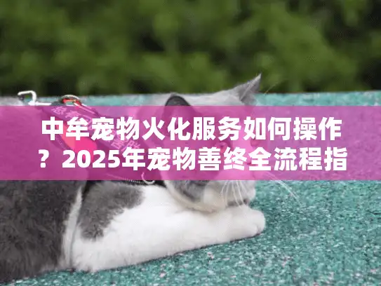 中牟宠物火化服务如何操作？2025年宠物善终全流程指南