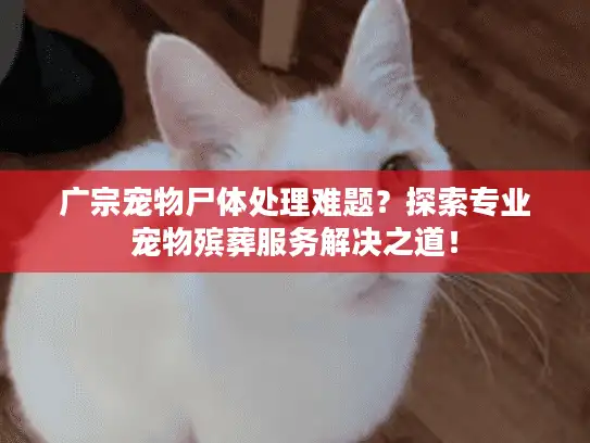 广宗宠物尸体处理难题？探索专业宠物殡葬服务解决之道！