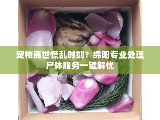 宠物离世慌乱时刻？绵阳专业处理尸体服务一键解忧