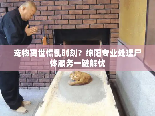 宠物离世慌乱时刻？绵阳专业处理尸体服务一键解忧