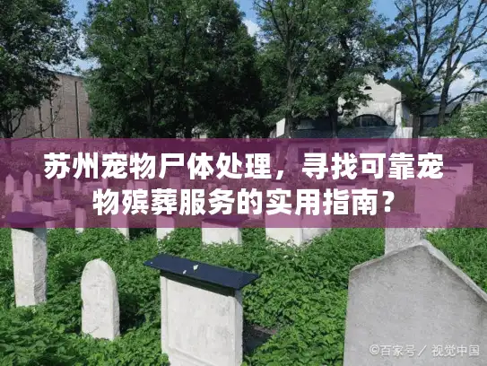苏州宠物尸体处理，寻找可靠宠物殡葬服务的实用指南？