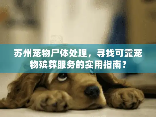 苏州宠物尸体处理，寻找可靠宠物殡葬服务的实用指南？