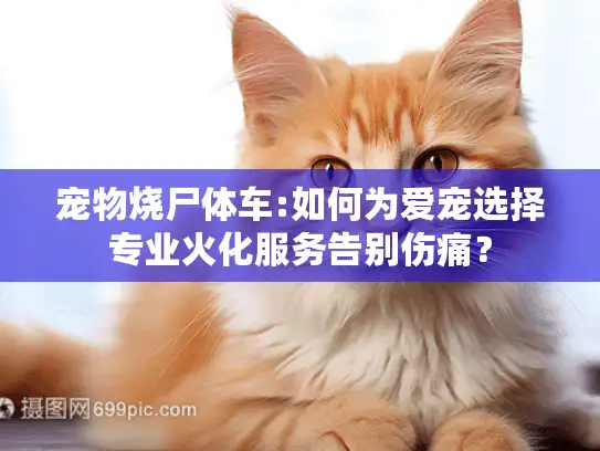 宠物烧尸体车:如何为爱宠选择专业火化服务告别伤痛？