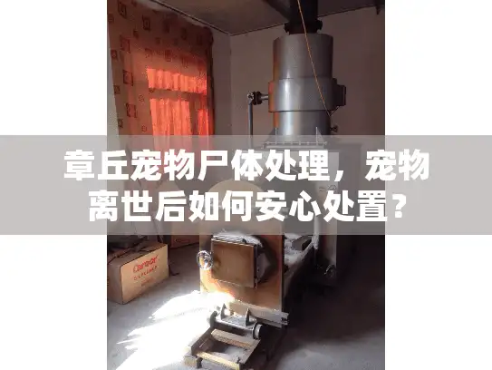 章丘宠物尸体处理，宠物离世后如何安心处置？