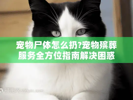 宠物尸体怎么扔?宠物殡葬服务全方位指南解决困惑