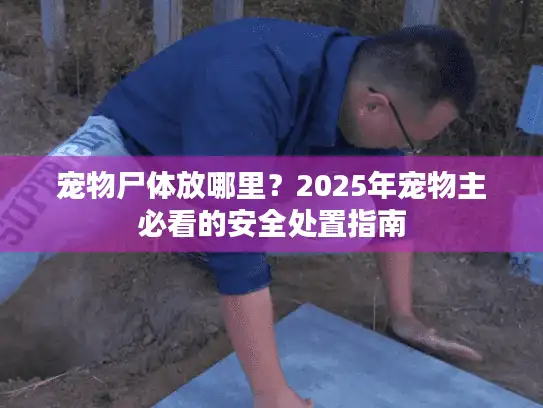 宠物尸体放哪里？2025年宠物主必看的安全处置指南
