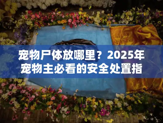 宠物尸体放哪里？2025年宠物主必看的安全处置指南