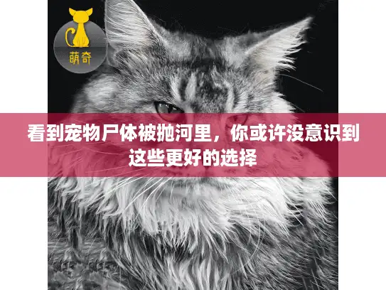 看到宠物尸体被抛河里，你或许没意识到这些更好的选择