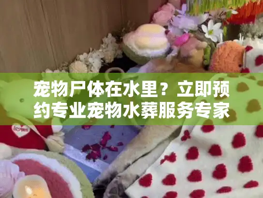 宠物尸体在水里？立即预约专业宠物水葬服务专家！