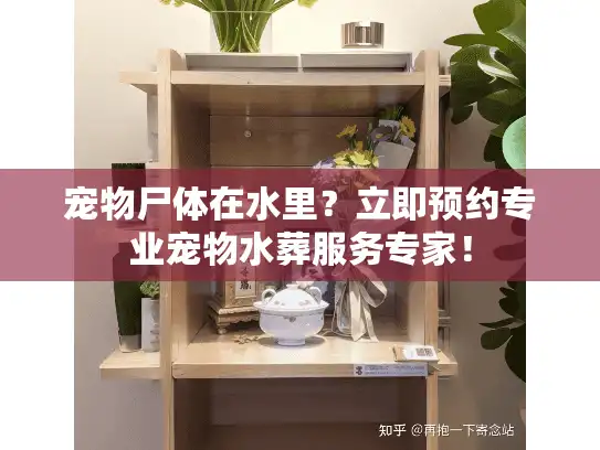 宠物尸体在水里？立即预约专业宠物水葬服务专家！